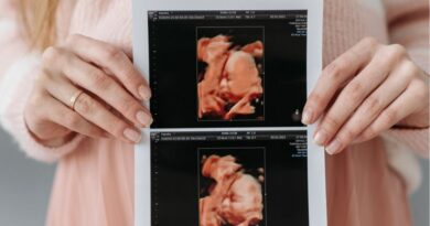 rozwój prenatalny dziecka